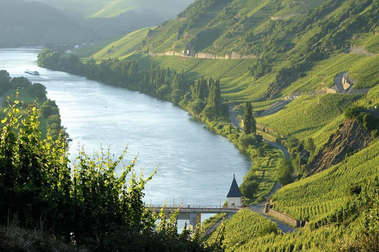 Weingut & Gaestehaus Christoph Cluesserath Trittenheim Ngoại thất bức ảnh