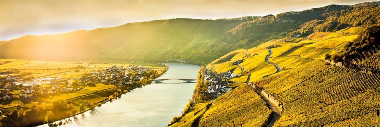 Weingut & Gaestehaus Christoph Cluesserath Trittenheim Ngoại thất bức ảnh