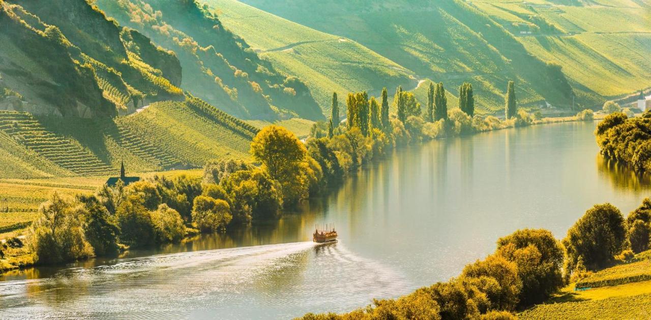 Weingut & Gaestehaus Christoph Cluesserath Trittenheim Ngoại thất bức ảnh