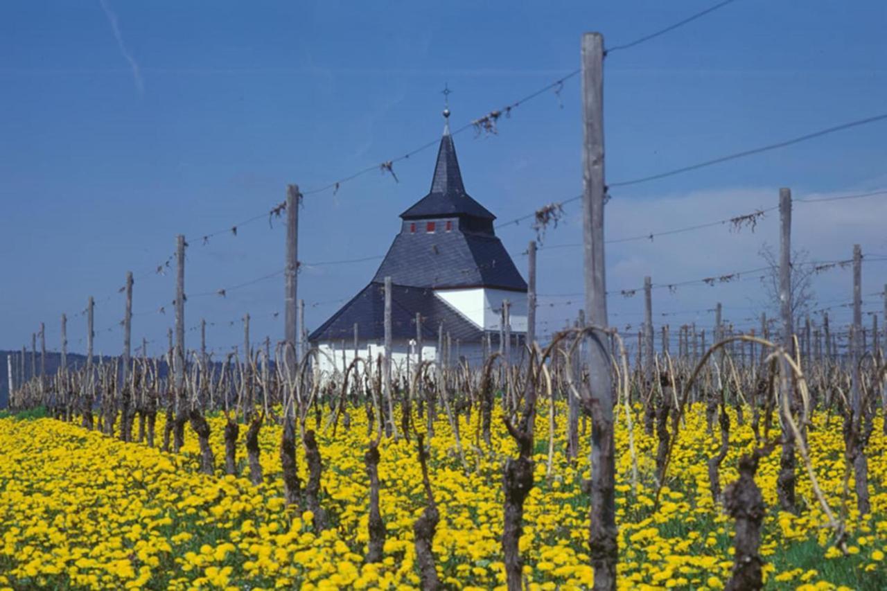 Weingut & Gaestehaus Christoph Cluesserath Trittenheim Ngoại thất bức ảnh